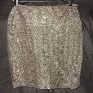 Tan & Gold Skirt